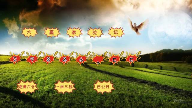 2024澳门天天六开彩今晚开奖,案例实证分析_性能版95.815