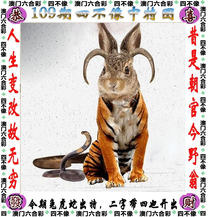 澳门必中一肖一码四不像,方案优化实施_触感版52.326