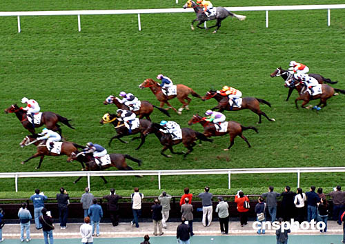 商务信息咨询 第427页