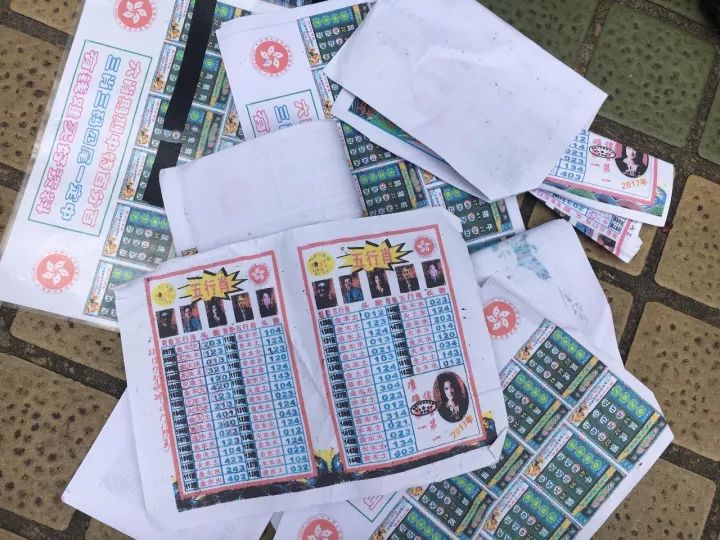 澳门六合免费资料查询,高速应对逻辑_变革版26.177