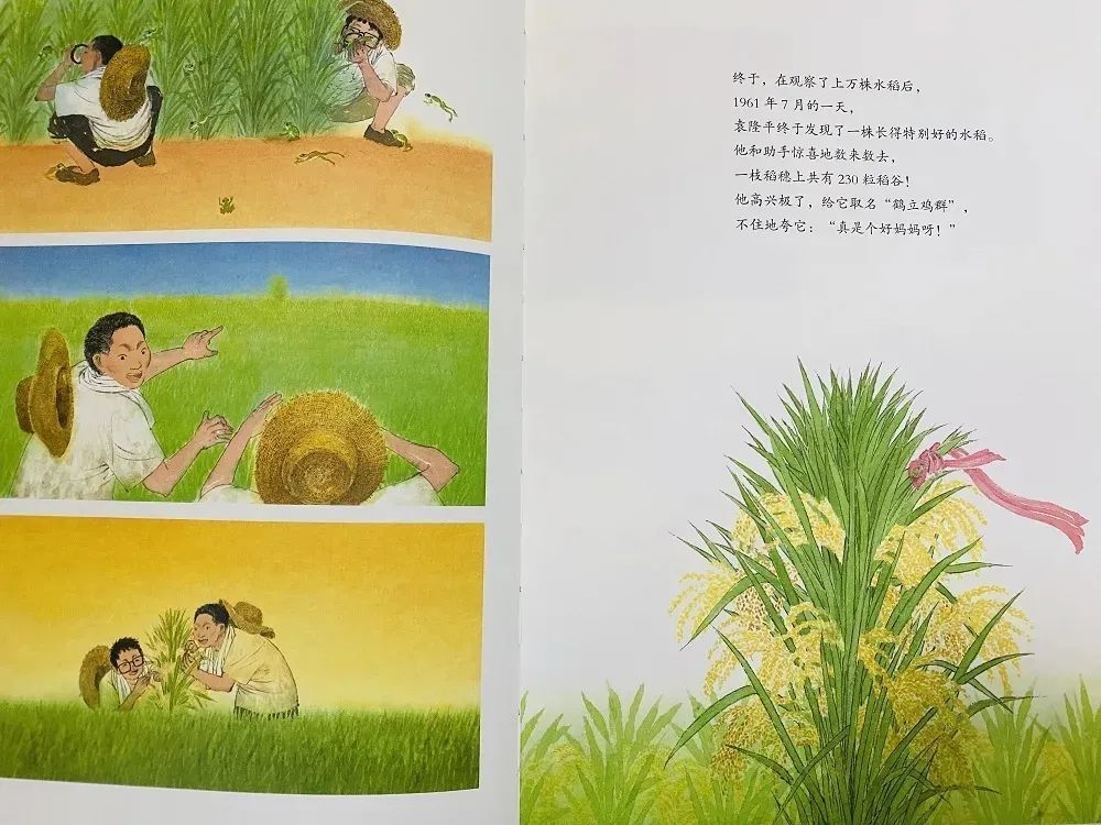 杨幂与赵又廷，励志闪耀之旅的最新篇章，自信成就梦想的光辉之旅。