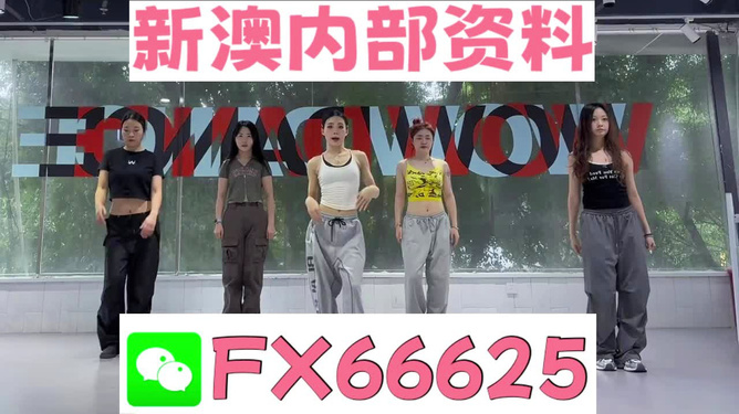 管家婆一码一肖资料免费公开,执行验证计划_性能版98.466