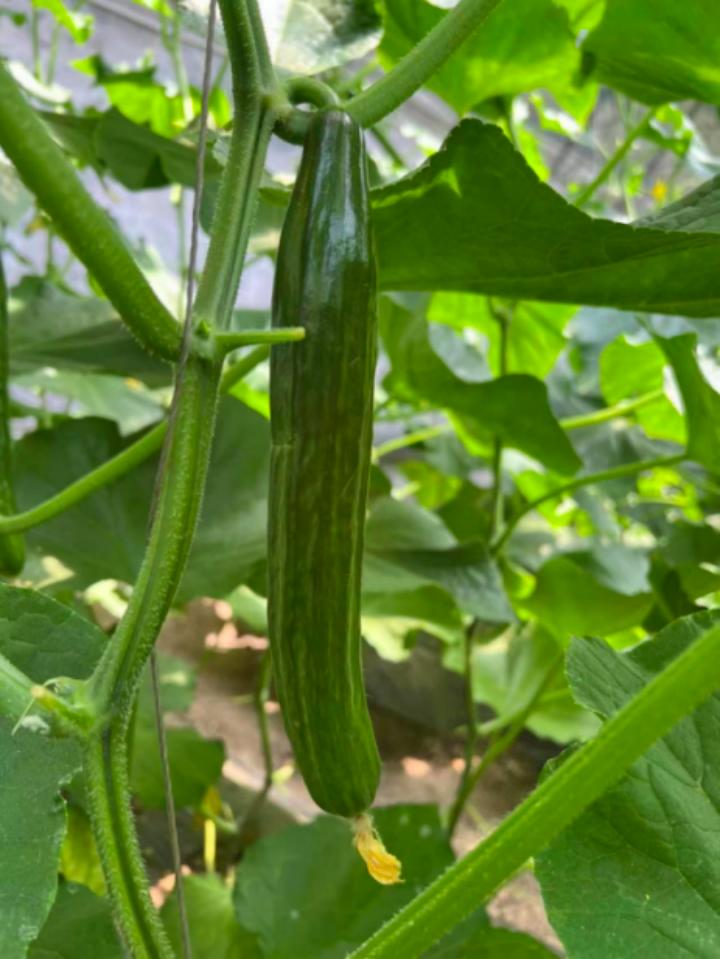 天津地铁七号线最新动态揭秘