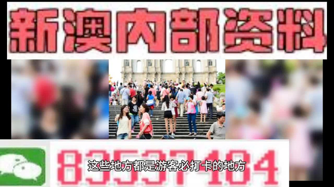 新澳免费资料精准大全,专家意见法案_传达版31.822