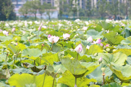 商务信息咨询 第369页