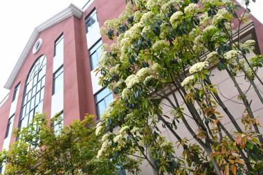 商务信息咨询 第367页