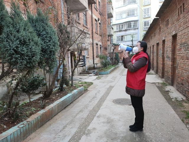 中国疫情最新动态与小巷深处的独特风味探索之旅