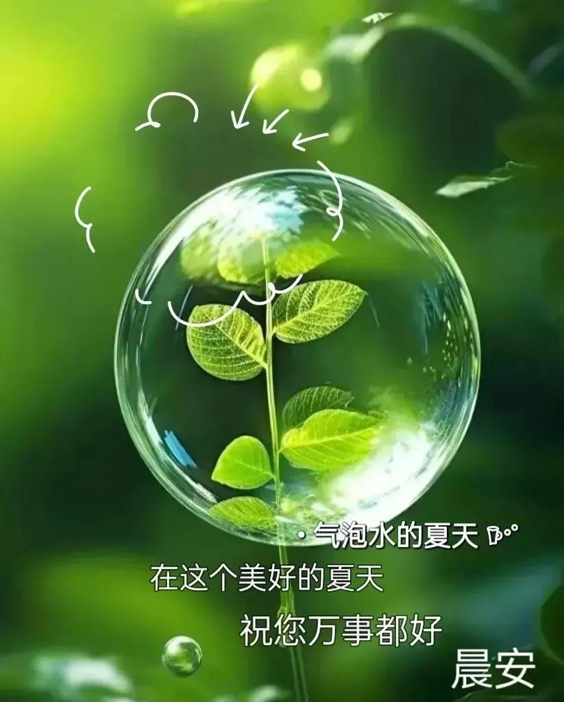 图片传递温情，最新图片问候引领情感交流新潮流