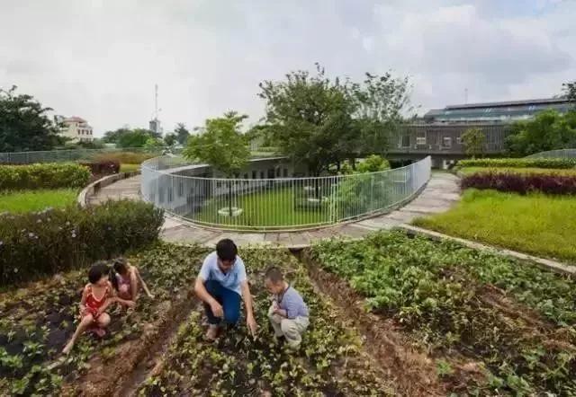 消防泵最新技术与自然美景探秘之旅