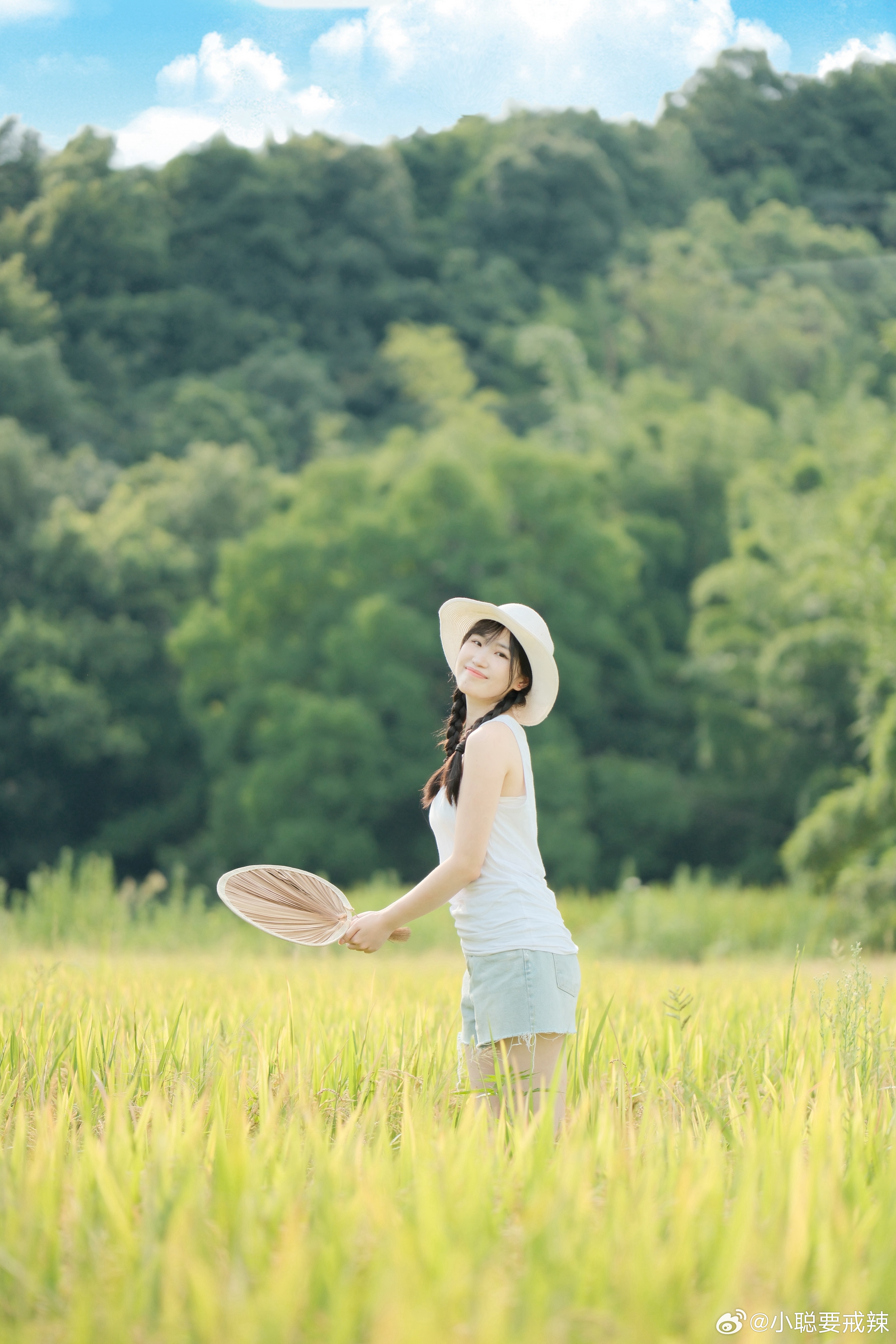 慕辰麦田最新,温馨的夏日趣事