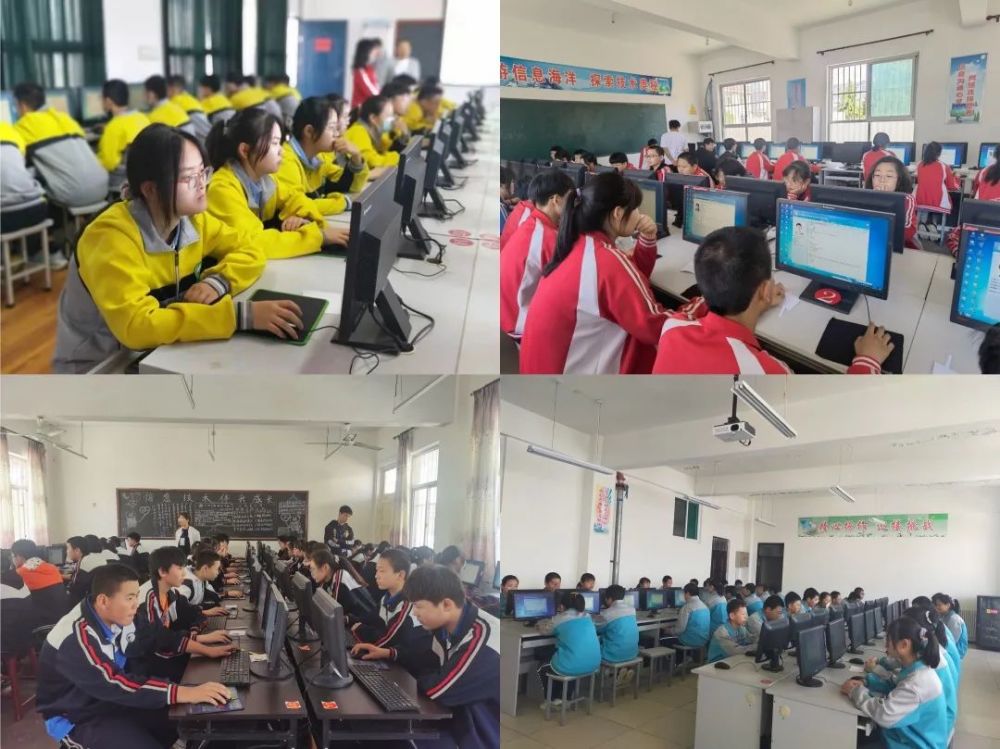 鸡里奥最新攻略，完成任务与学习技能的步骤指南