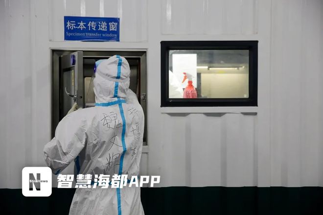 核酸检测最新数据及其背后的温馨小故事