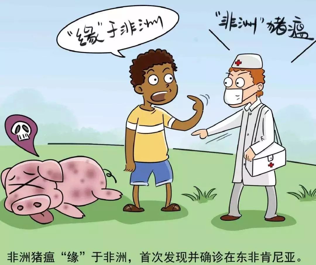 疫情最新蔓延图，背后的温馨日常故事展现希望之光