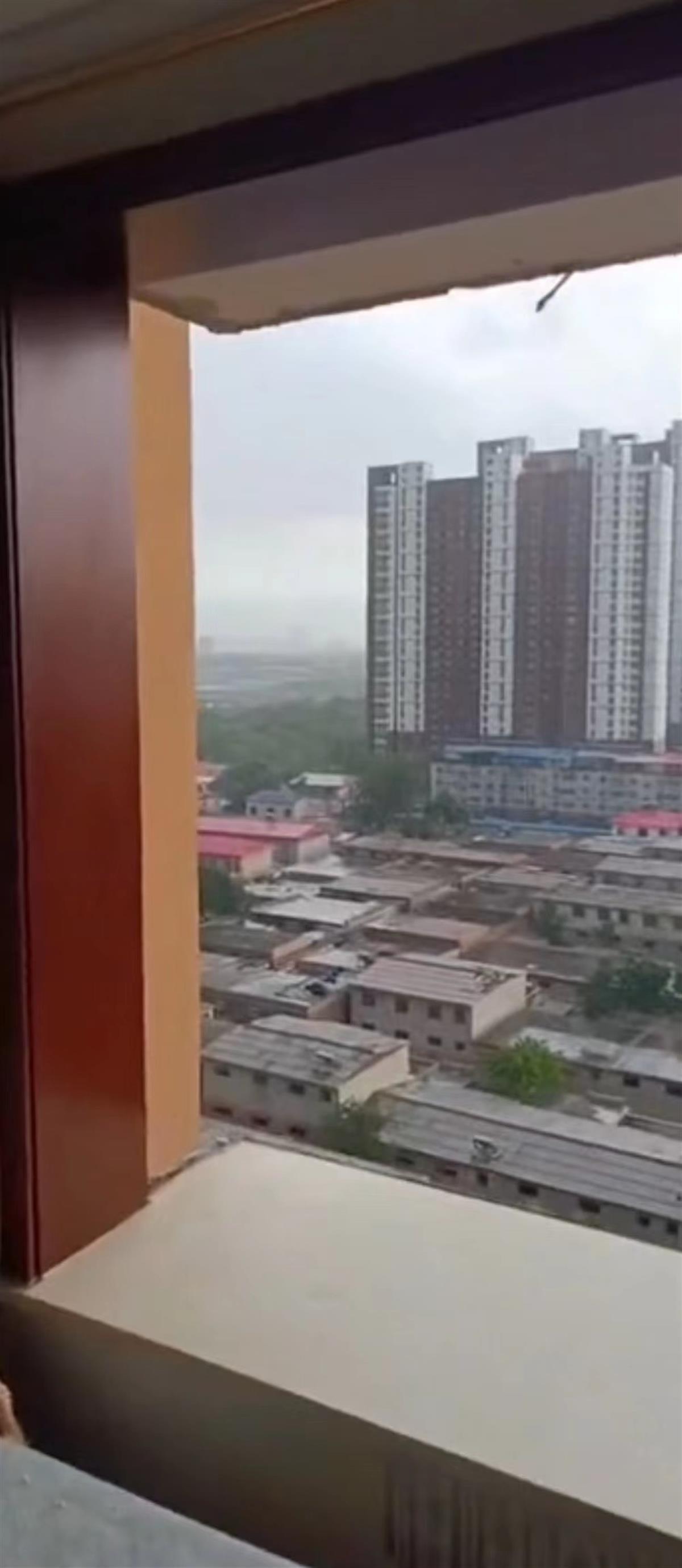 第1123页