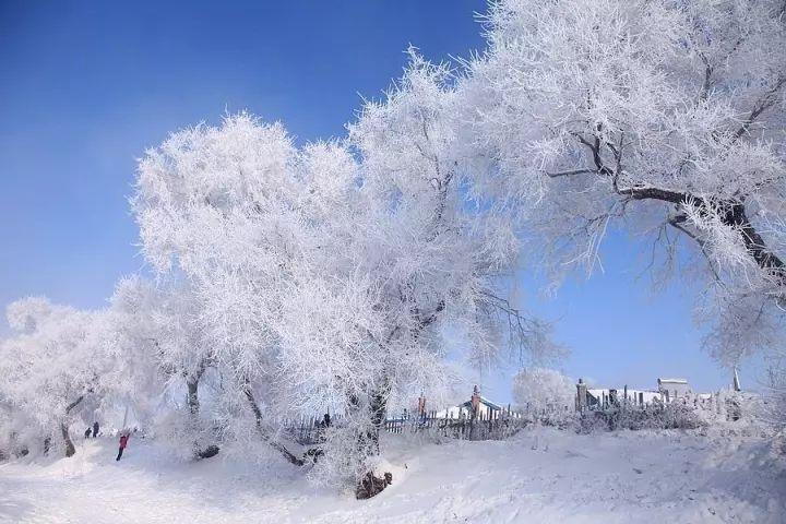 吉林数字电视，打造家的温馨视听时光
